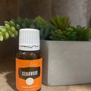 Young Living Cedarwood essential oil